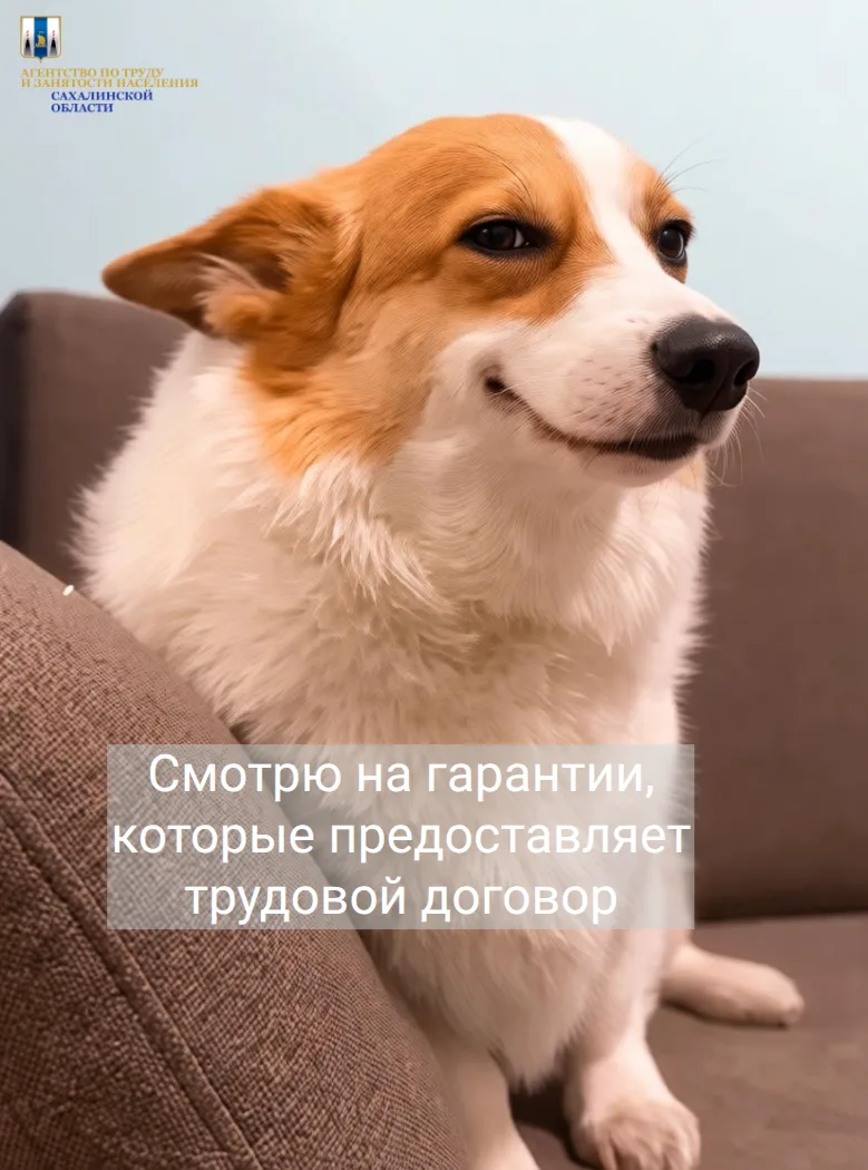 🫶Просто напоминаем, что трудовой договор – это гарантированная заработная плата, оплач...