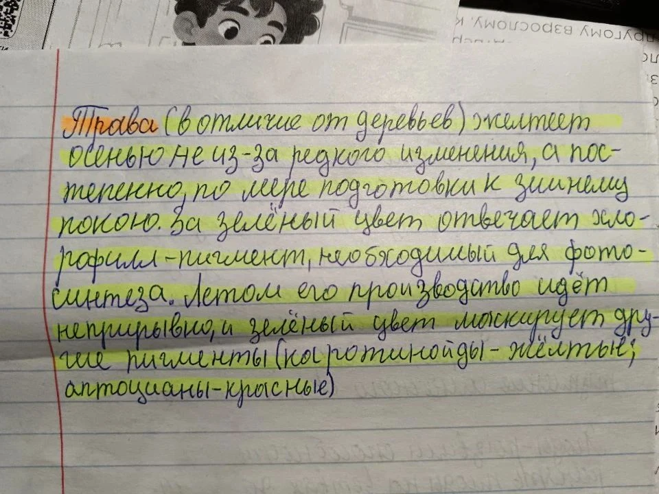 🗓Календарь Первых: Экология и Охрана Природы. Туризм и Путешествия.🌍