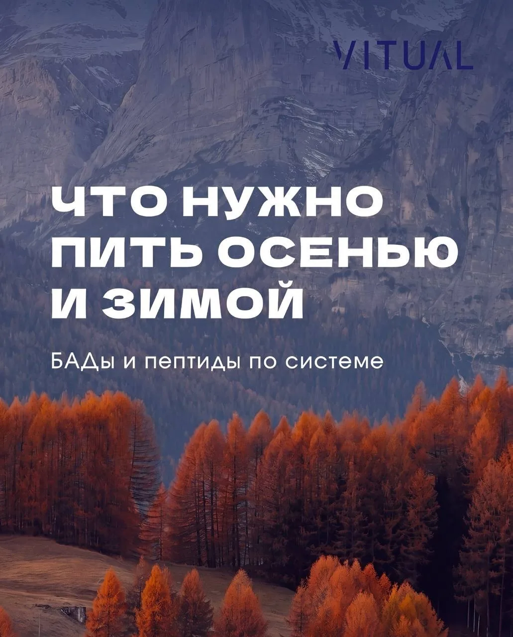 Вместе разбираемся — что обязательно должно быть в ваших добавках при смене сезонов 🙏🏻