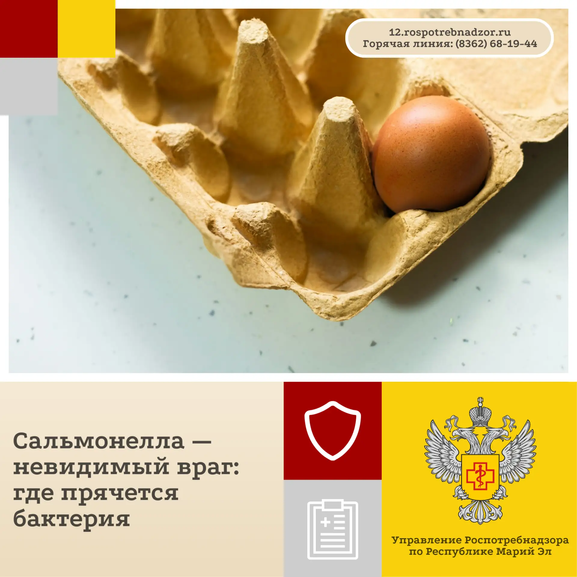 Сальмонелла умеет прятаться — и часто мы даже не подозреваем, что она рядом
