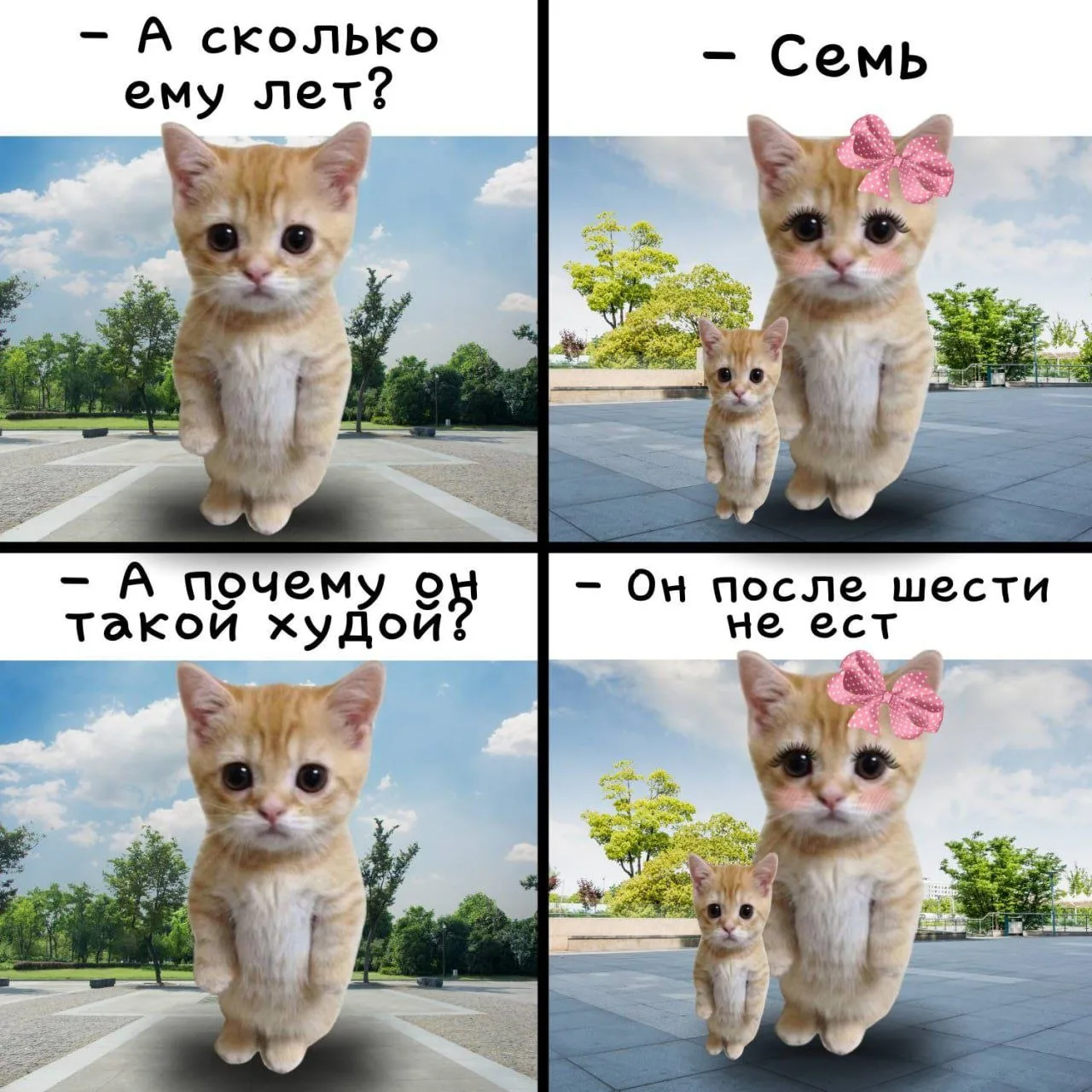 Мемы каждый день • Подписаться