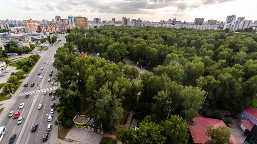 Погода в Новосибирске 11 октября: пасмурно и до +9