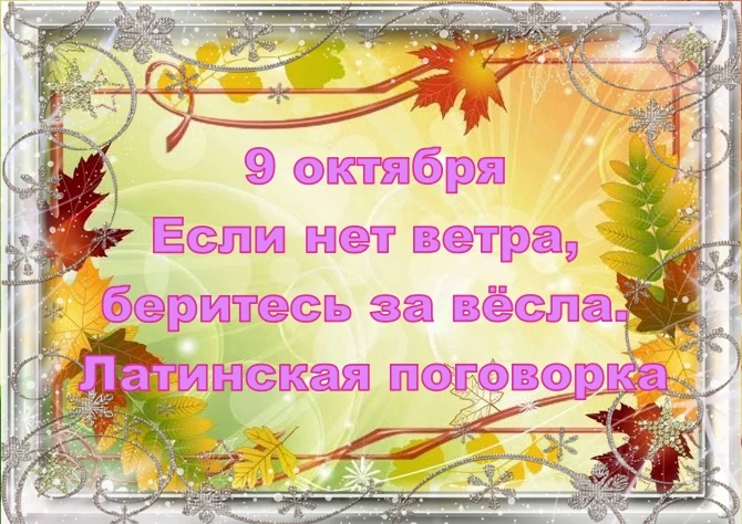 День Девятки: энергия прибыли, масштаба и щедрого урожая
