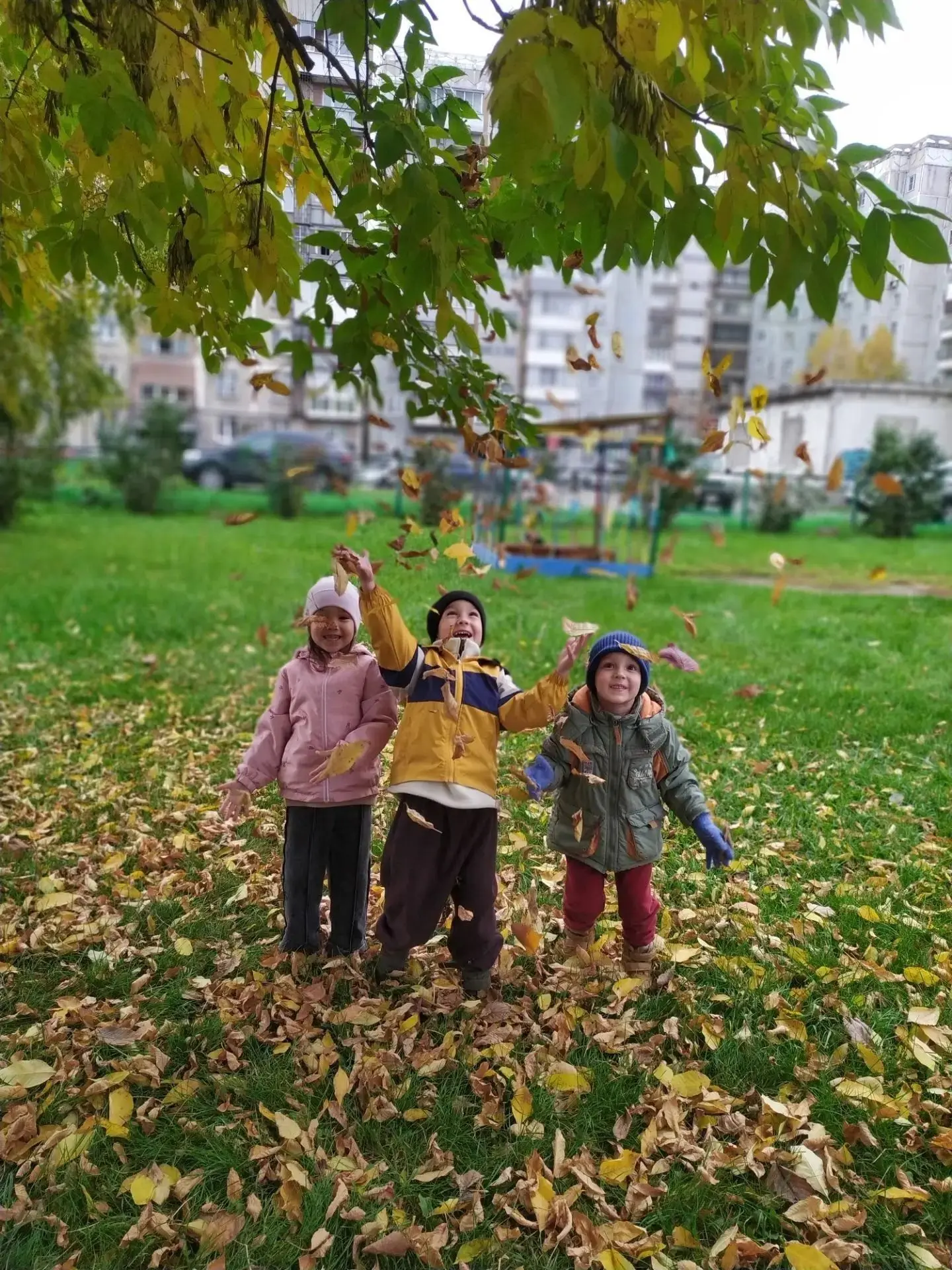 Осенняя прогулка в детском саду — это волшебное время, когда каждый шаг открывает малыш...