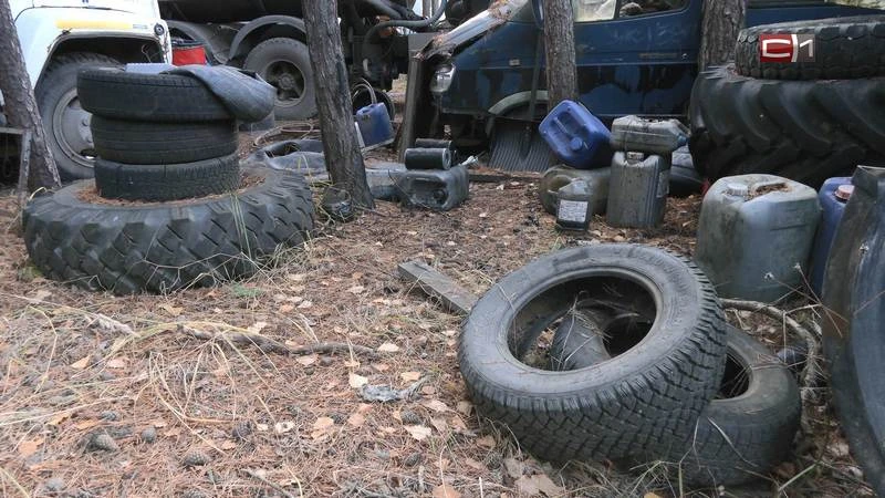 Сургутские дачники пожаловались на свалку и брошенные авто: виновный уже найден