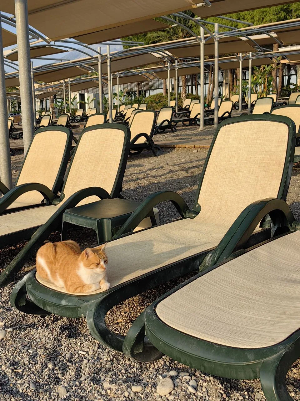 Ваш знак, что нужно лететь в отпуск 🏖️!