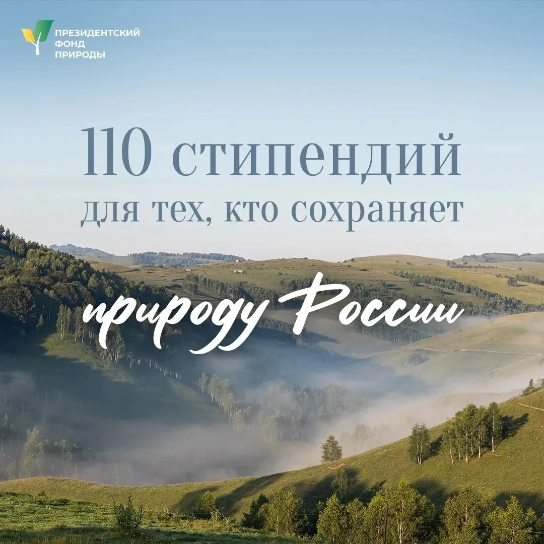 🌿 «Заповедная стипендия»: шанс для студентов, которые заботятся о природе