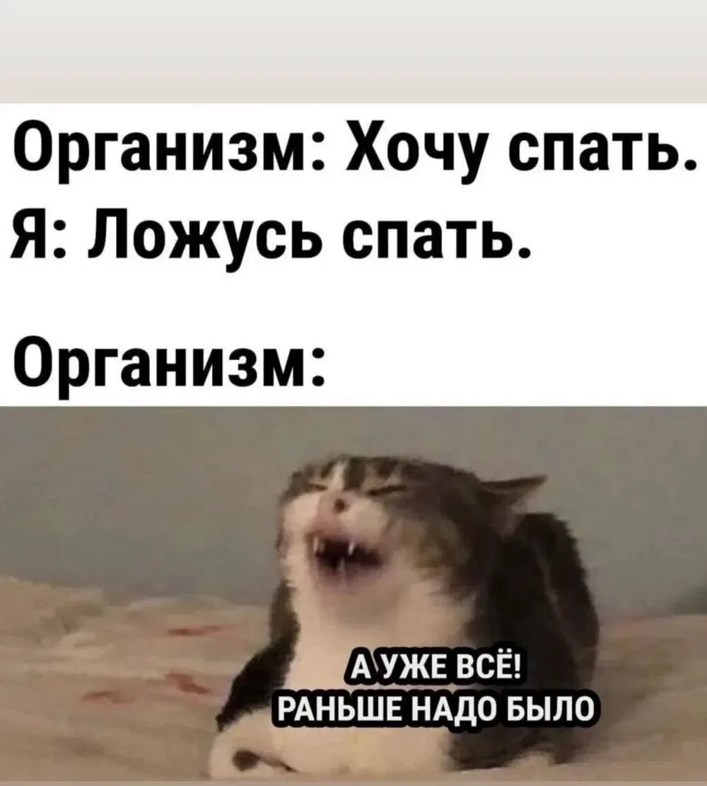 Сегодня был дождливо-сонливый, но теплый и хороший день! Всем спокойной ночи