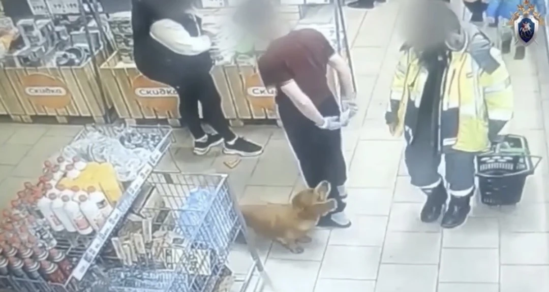 В Приангарье собака укусила двухлетнего ребёнка в магазине