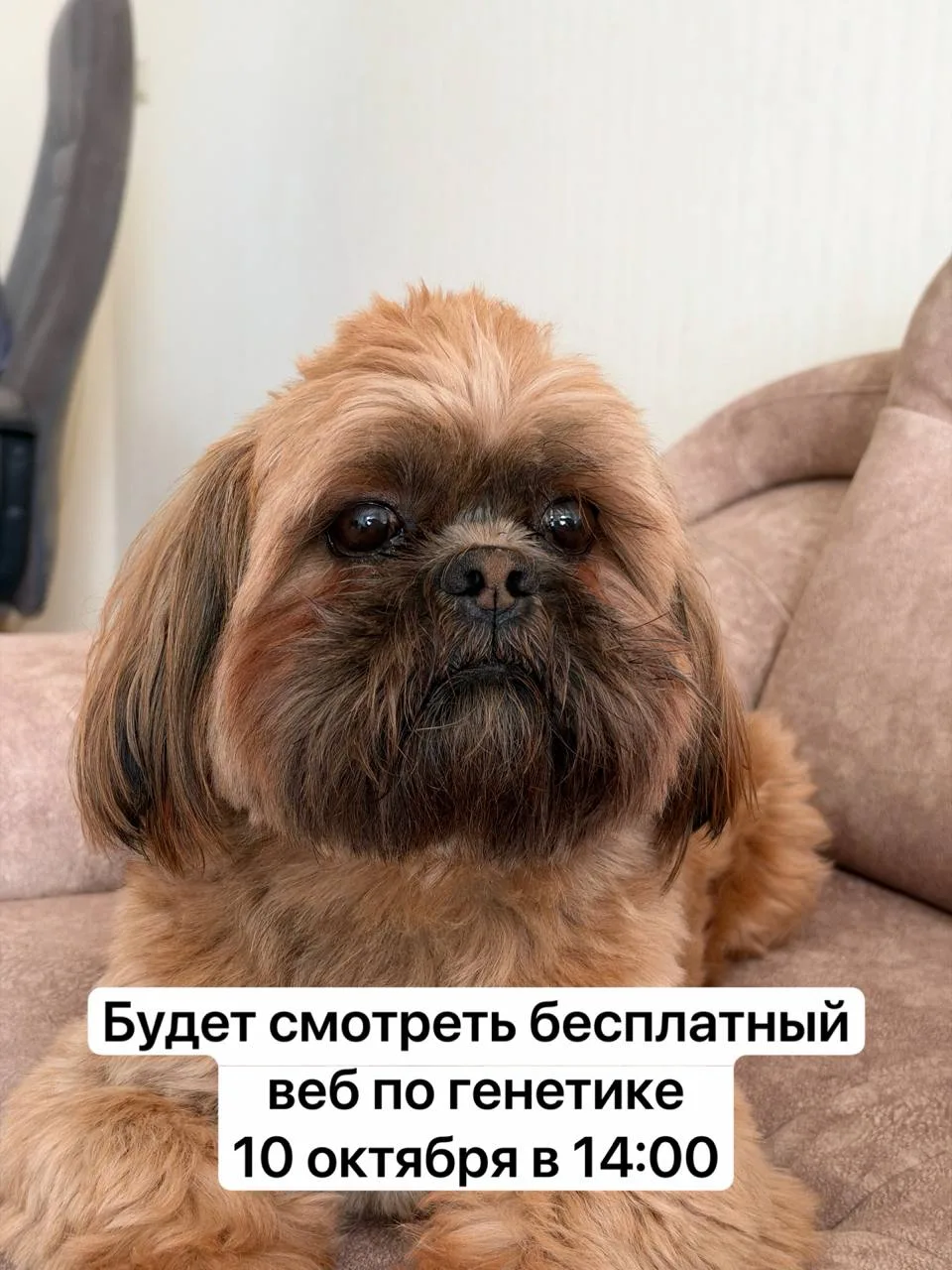 На чьей стороне вы?