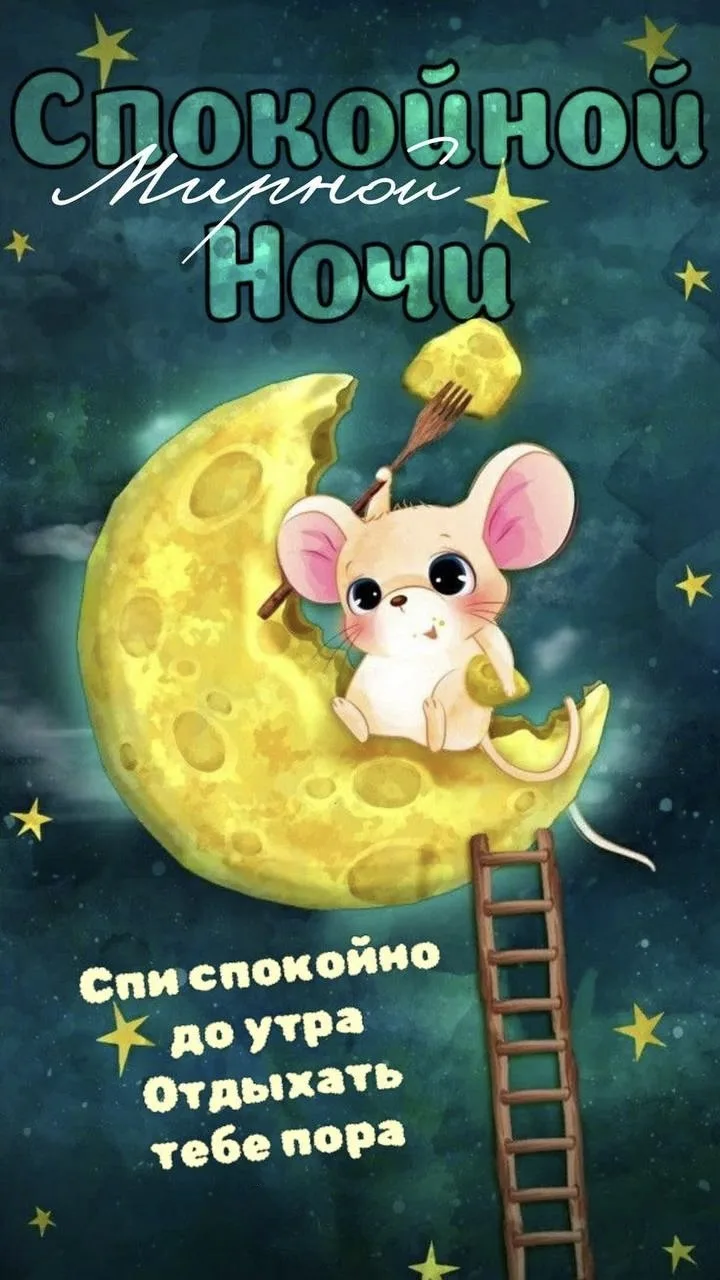 #СпокойнойНочи ⭐️