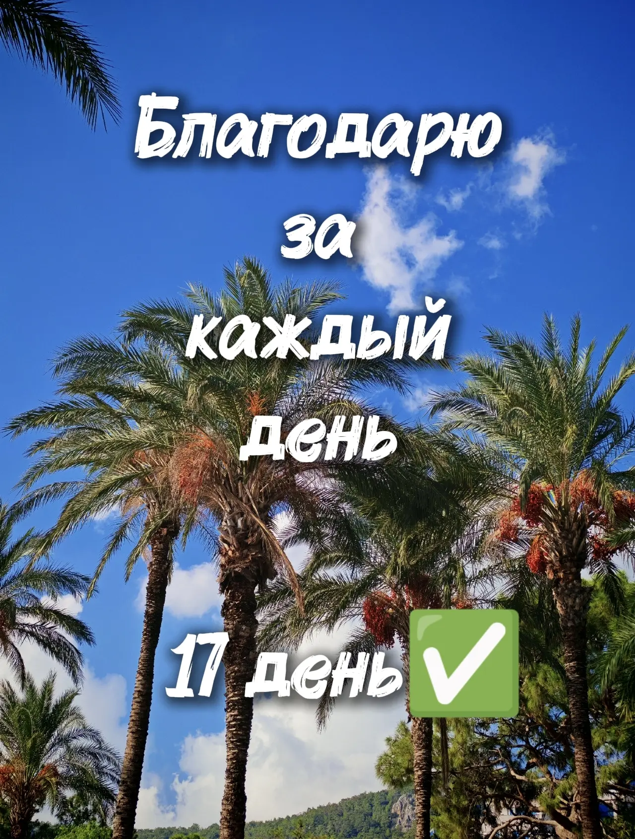 #здесь_и_сейчас #благодарности #17_день #готово✅