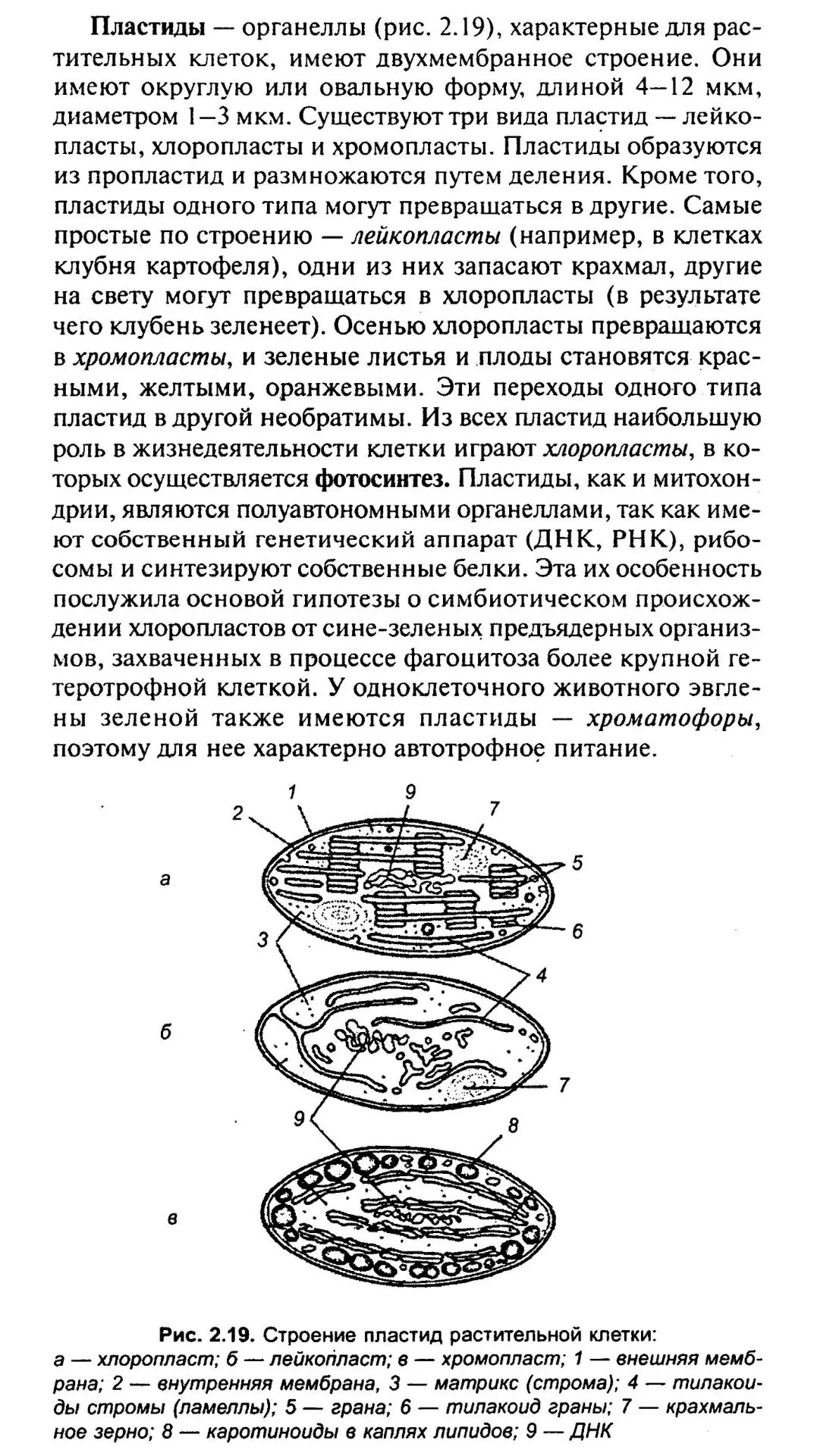 Пластиды