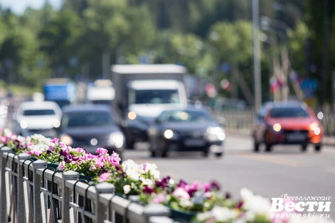 🚧 На Дороге жизни просят пешеходный переход