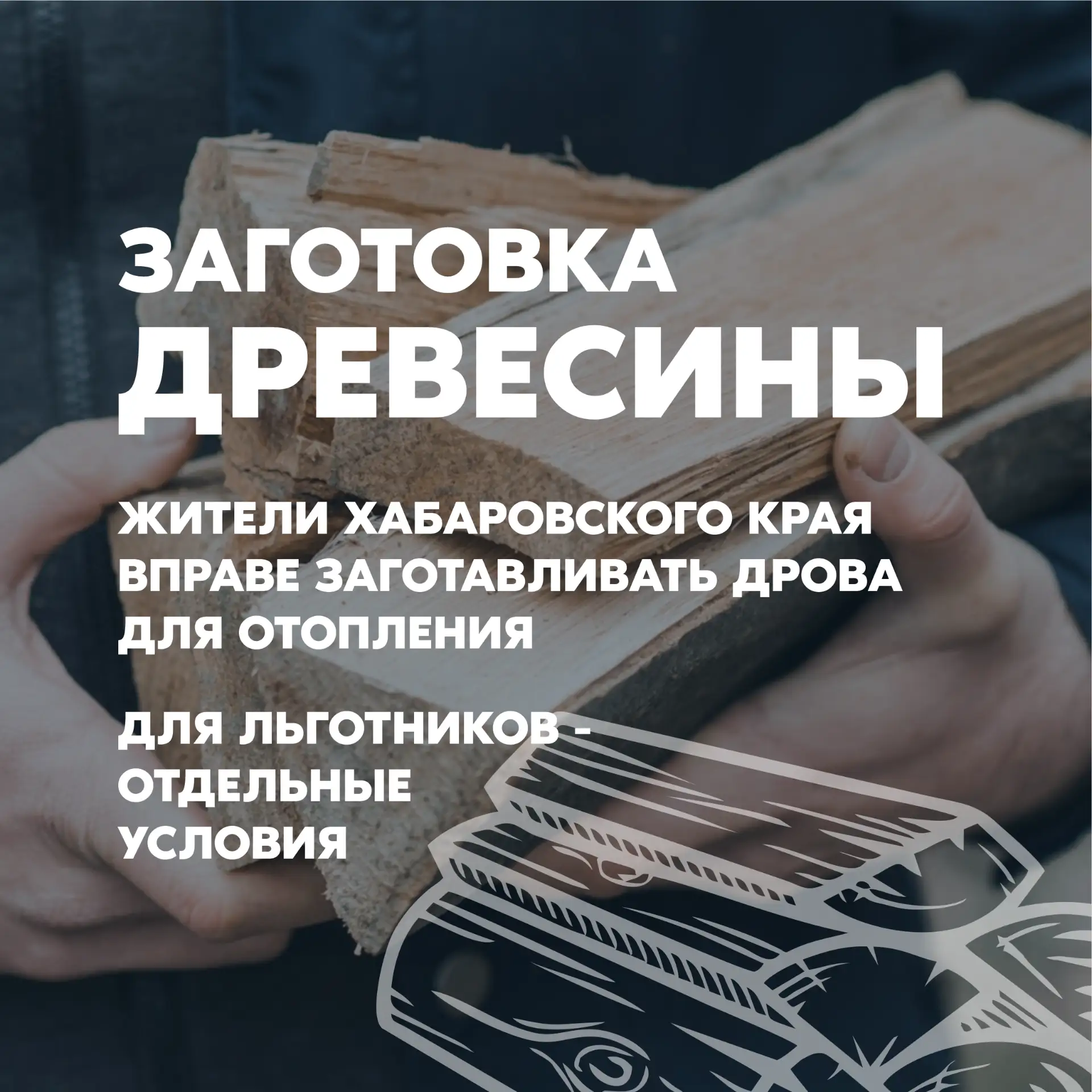 🌳 Заготовка древесины в Хабаровском крае: нормативы, льготы и порядок оформления