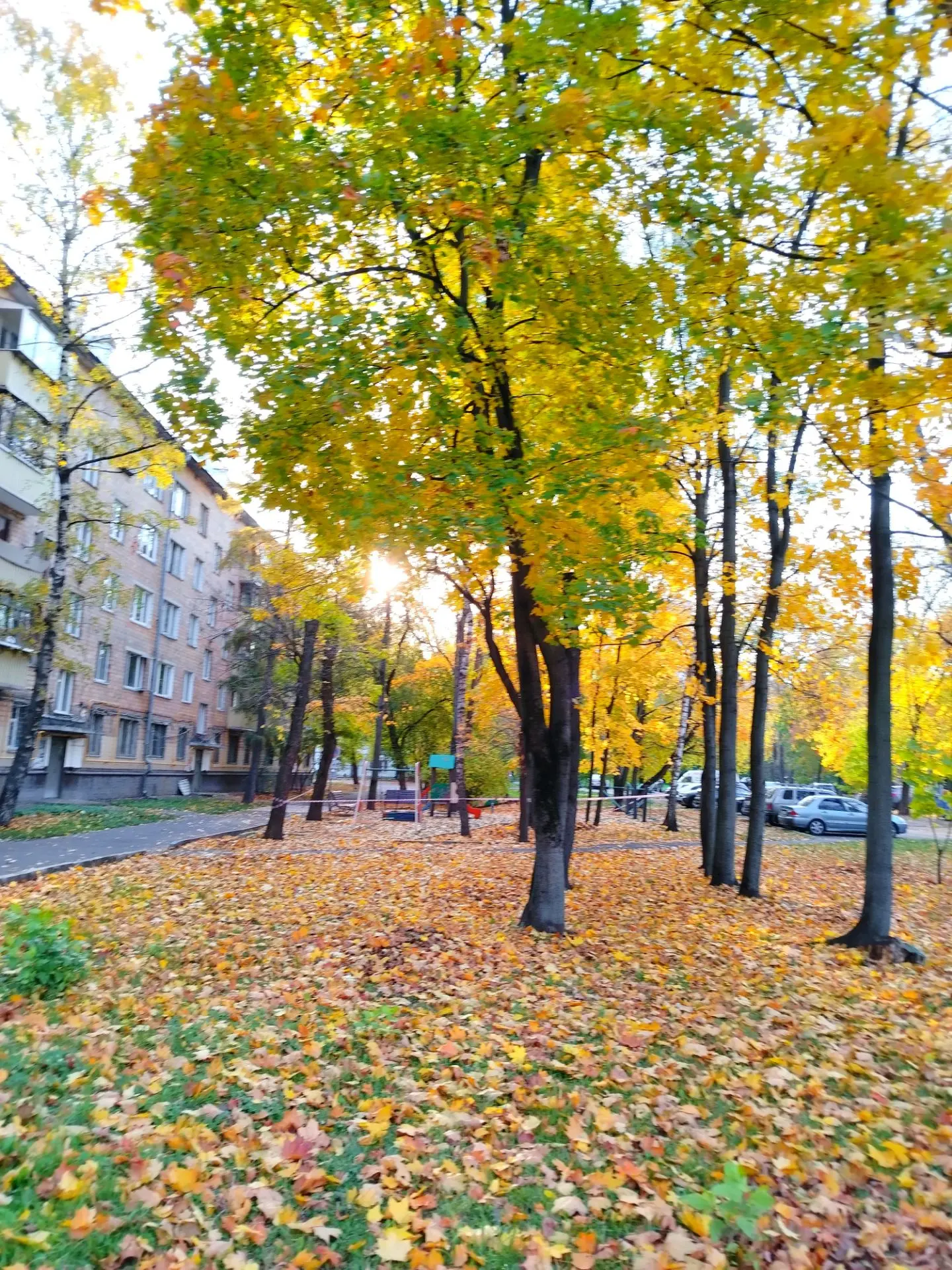Всем доброе утро! Отличной пятницы!