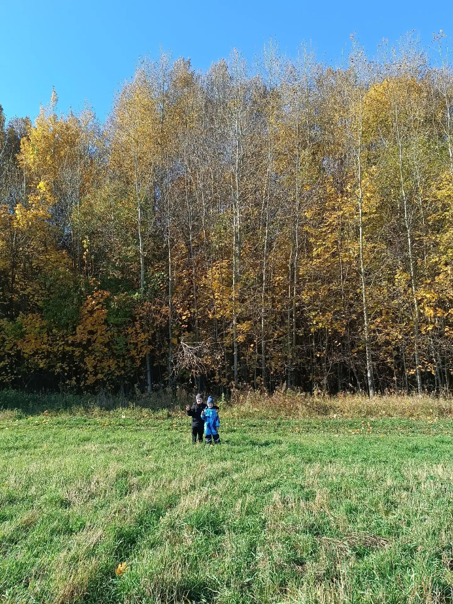🍂 «Мы сегодня ходили в гости к лесу…»