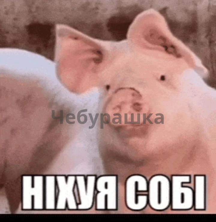 Этой зимой на Украине может вообще не быть отключений света. Тем более никаких отключен...