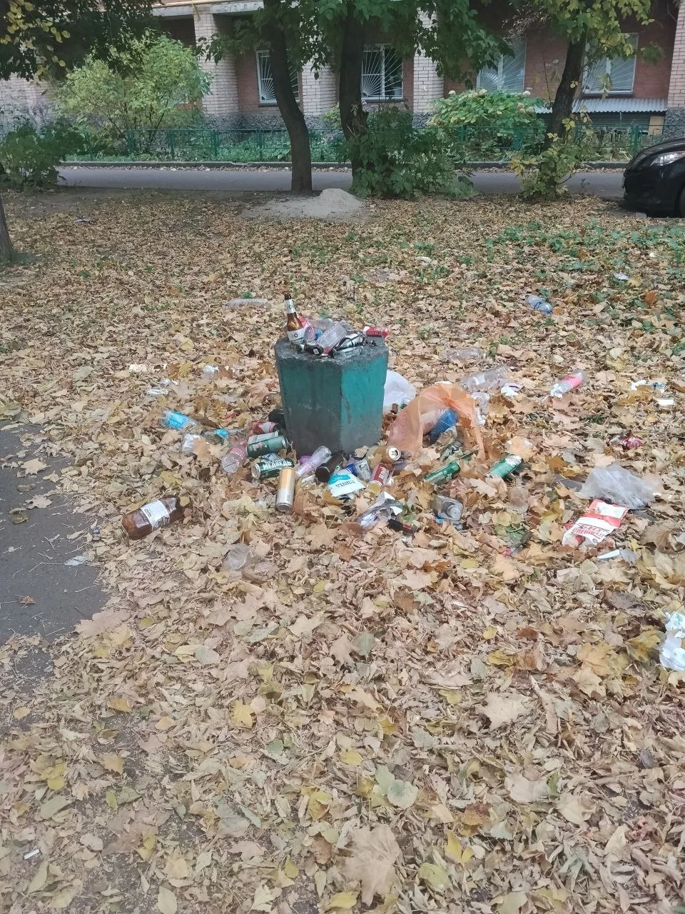 Здравствуйте. Кто отвечает за уборку дворов в Голутвине ул. Октябрьская революция дом 3...
