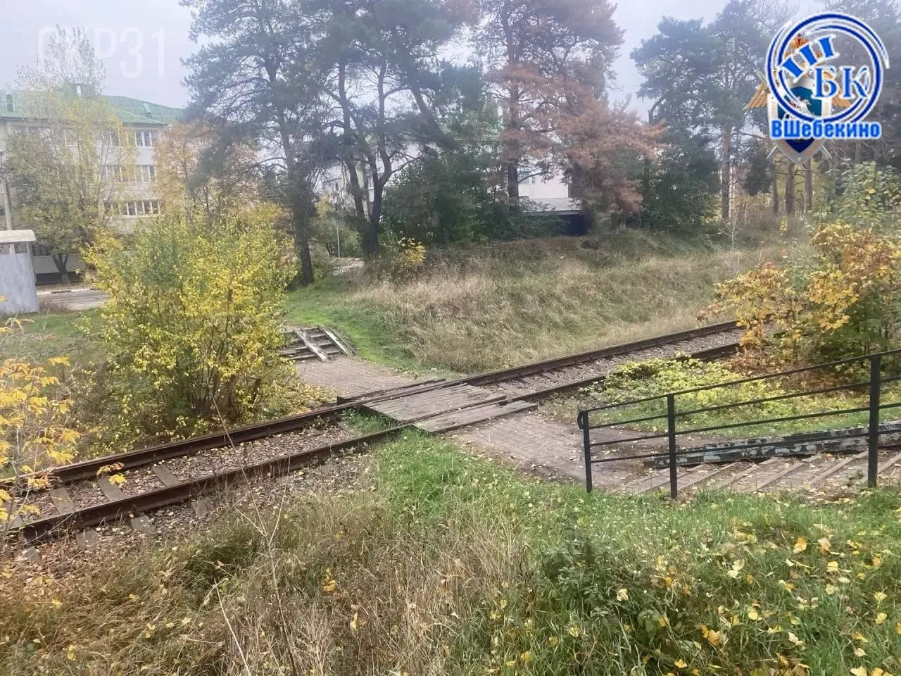 ⚡️ В Шебекино возбудили уголовное дело о хулиганстве и покушении на убийство в отношени...