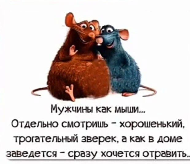 Романтические мысли на ночь😂♥