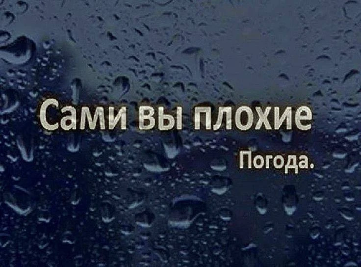 ...у осени репутация меланхолика. Дожди, утренние туманы, серый прозрачный воздух, тёмн...
