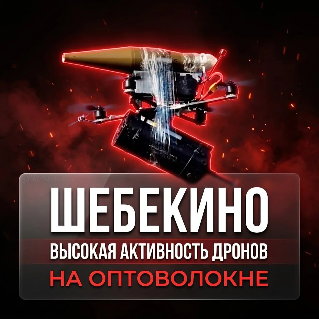 🚨 ВНИМАНИЕ, ШЕБЕКИНО!