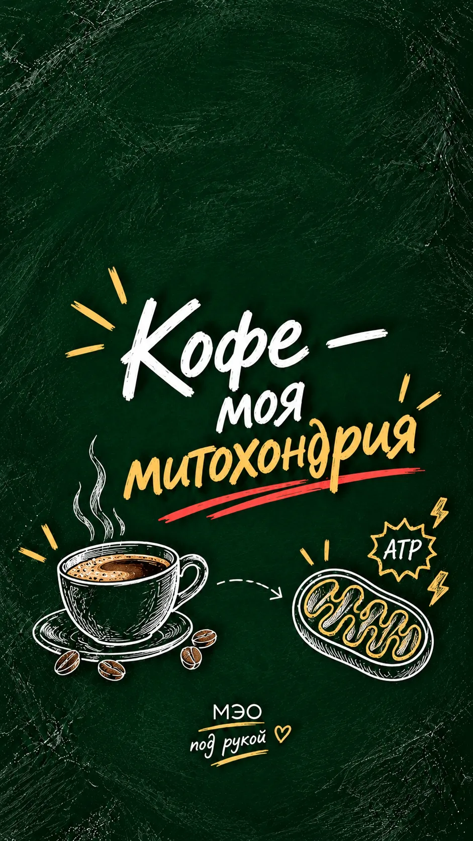 ПОДАРОК ДНЯ — живой во всех смыслах 🌿