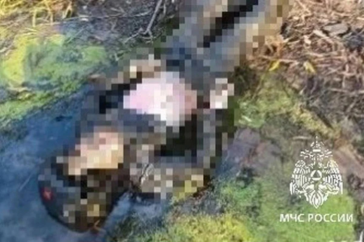 Сапбордист нашел в Каме в Татарстане утонувшего мужчину