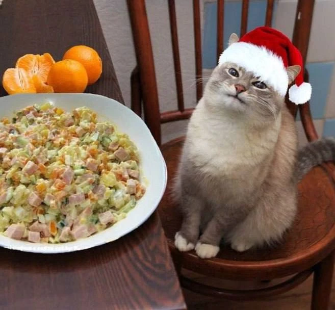 🎄Аналитики советуют россиянам начать закупаться к Новому году уже сейчас