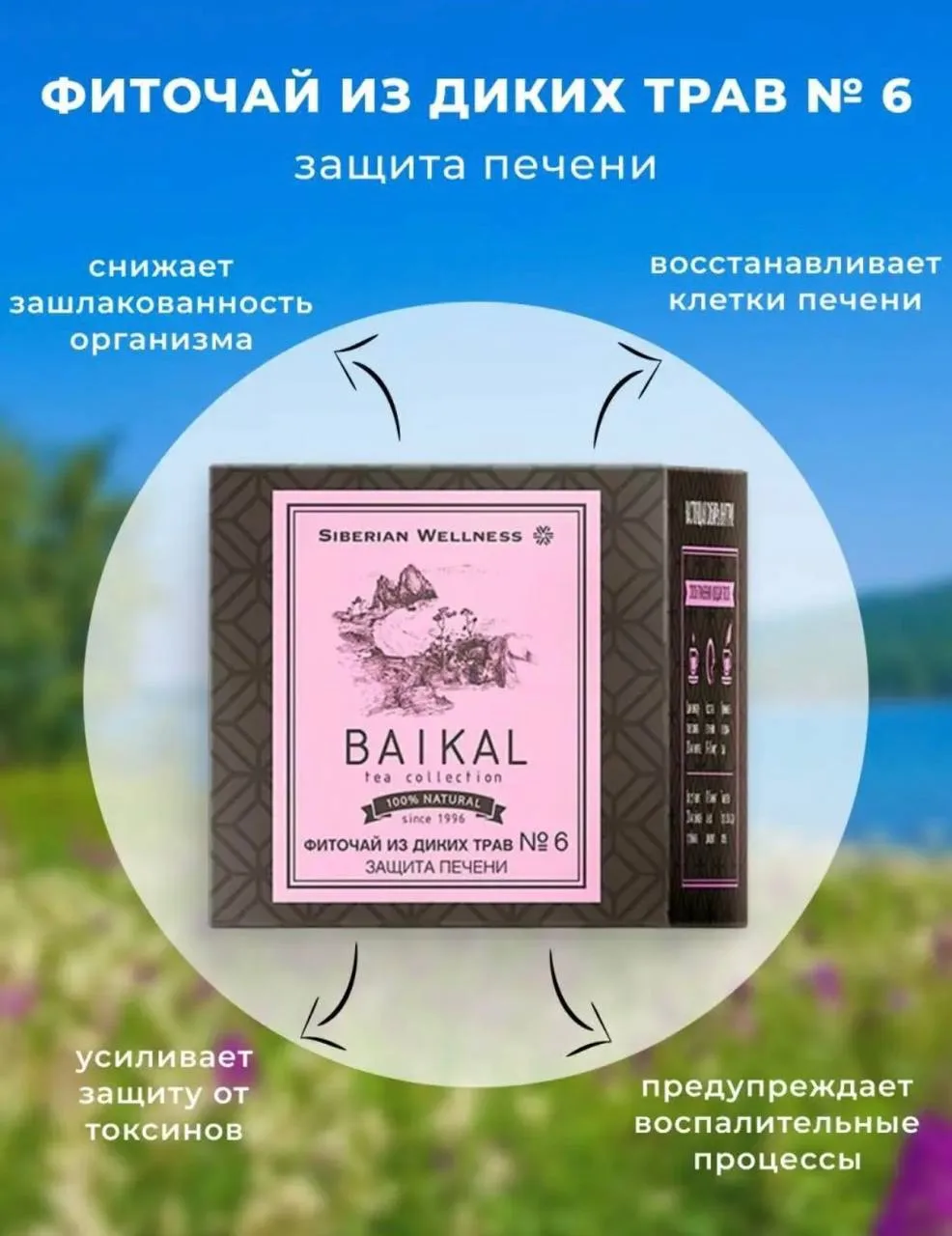 Фиточай из диких трав № 6 (Защита печени) - Baikal Tea Collection