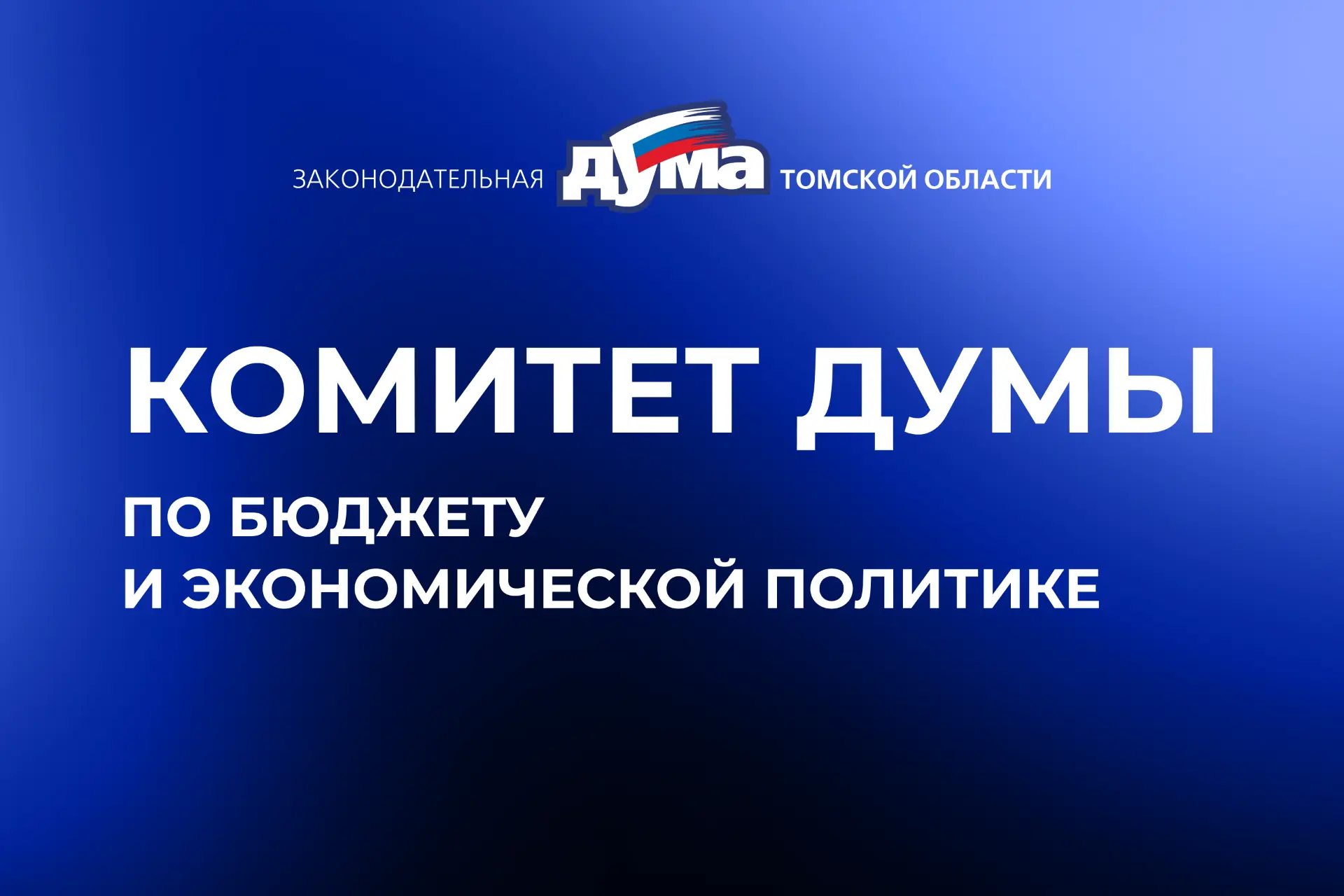 12 депутатов будут работать в бюджетном комитете думы