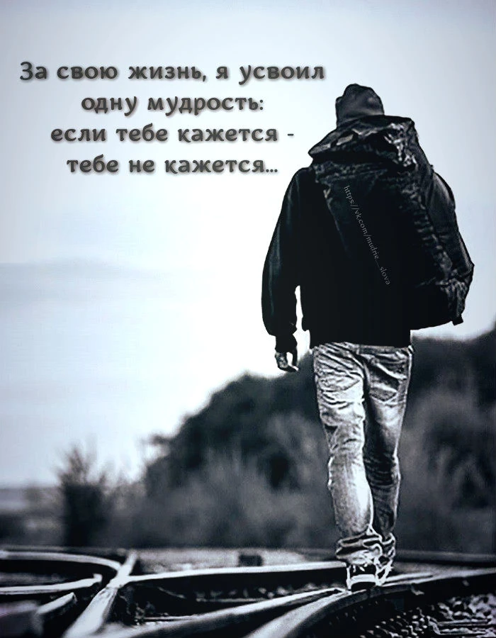 Мудрые Слова ✨