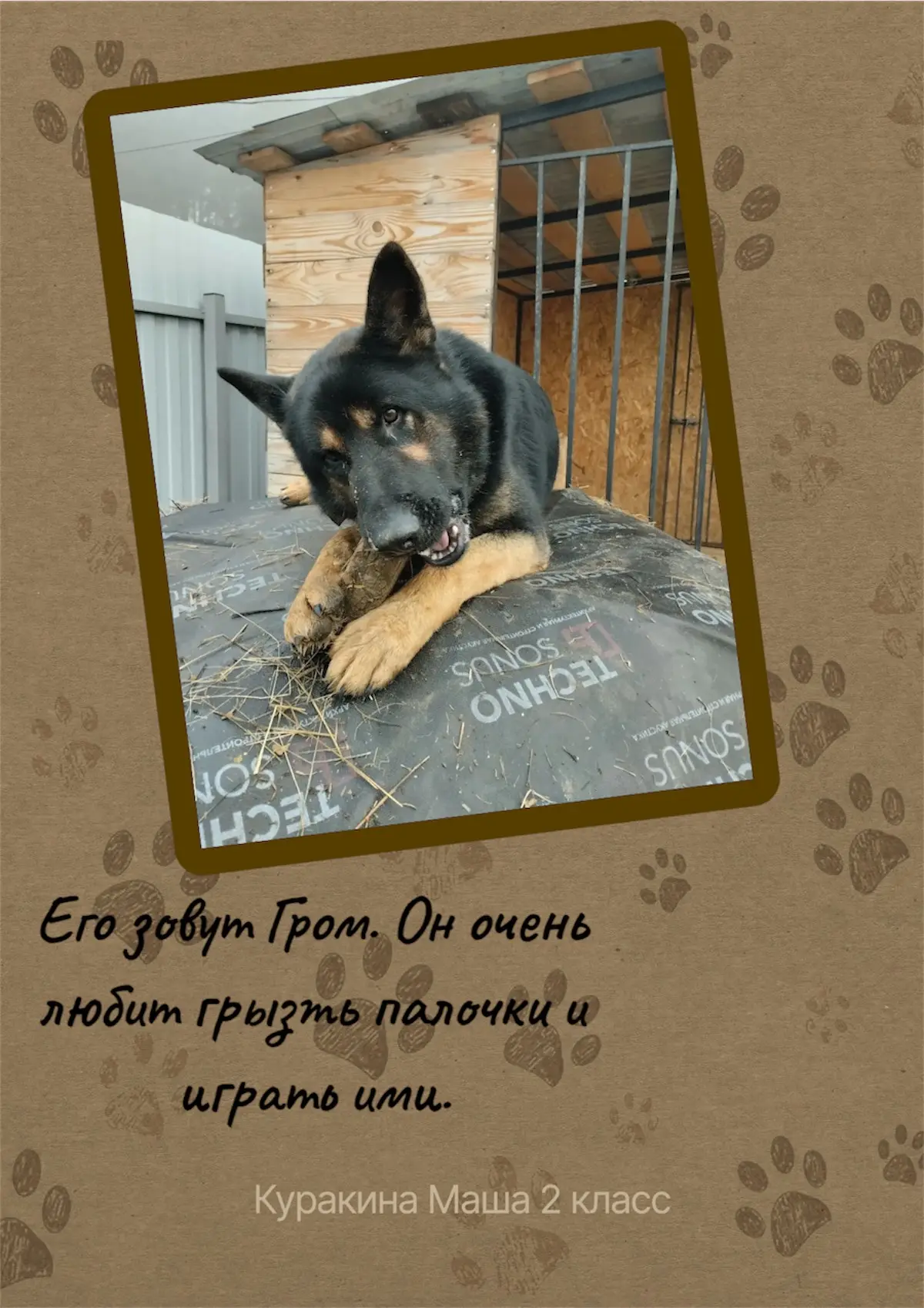 🐾 Онлайн-акция ко Дню защиты животных
