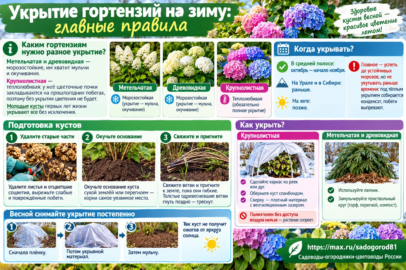 🍂 Укрытие гортензий на зиму: главные правила