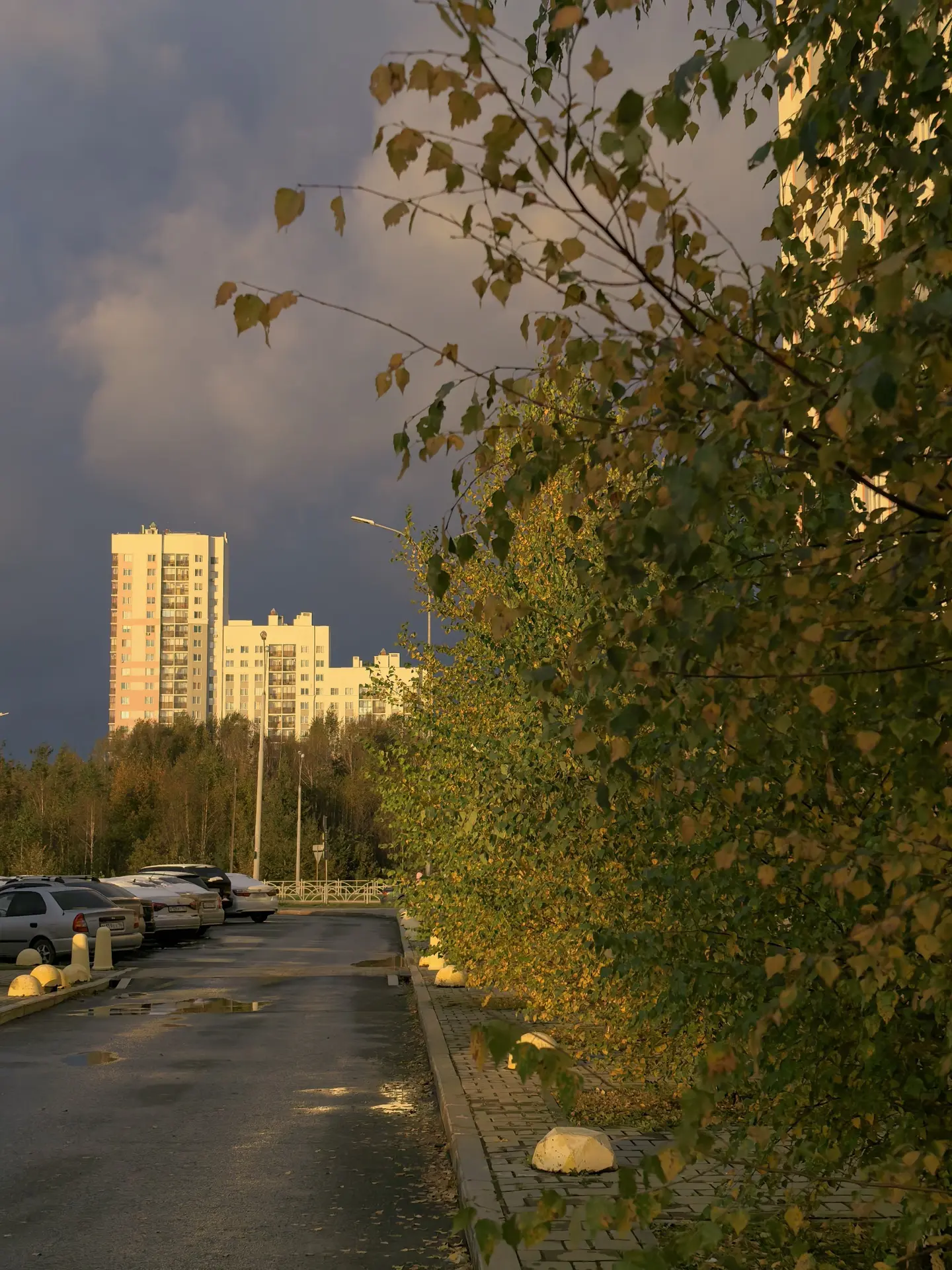 С началом рабочей недели, Академический! 🍂☔️