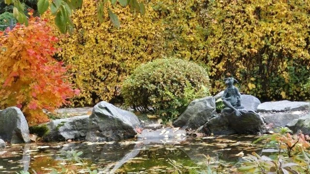 Куда пойти на выходных в Петербурге: 9 – 11 октября