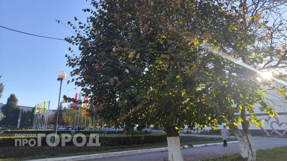 Бабье лето задержится в Новочебоксарске