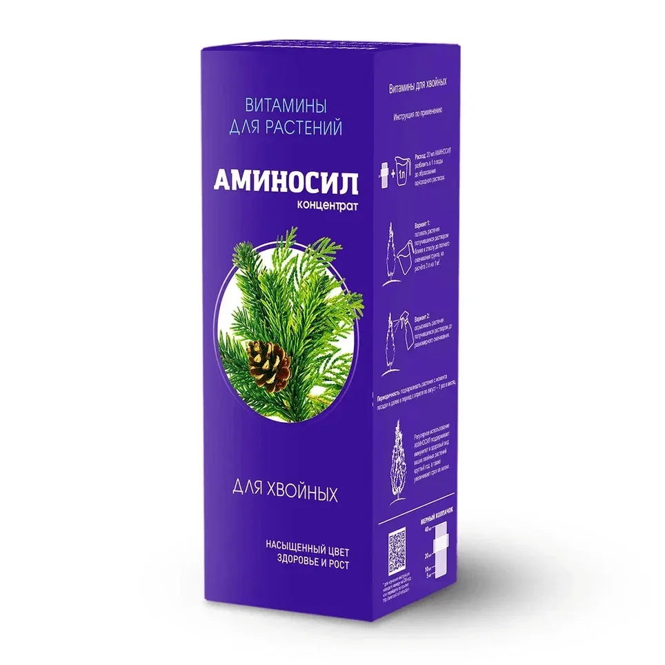 🎉 День 6 акции «Семь дней подарков» — и сегодня приз для любителей хвойных! 🎉🎁 Встре...