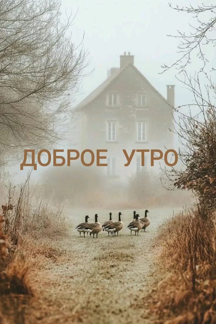 С всевозможными утрами, котята!☕️
