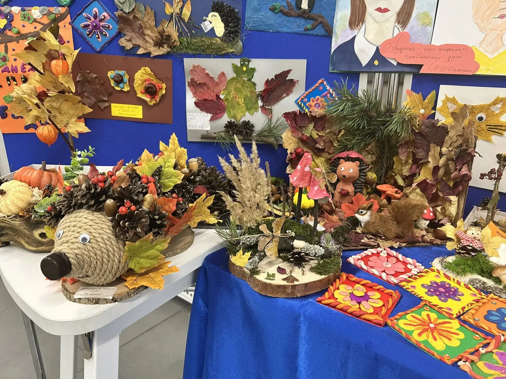 🍁Осень — это не только время поздравлять любимых педагогов с Днем учителя, но и пора в...