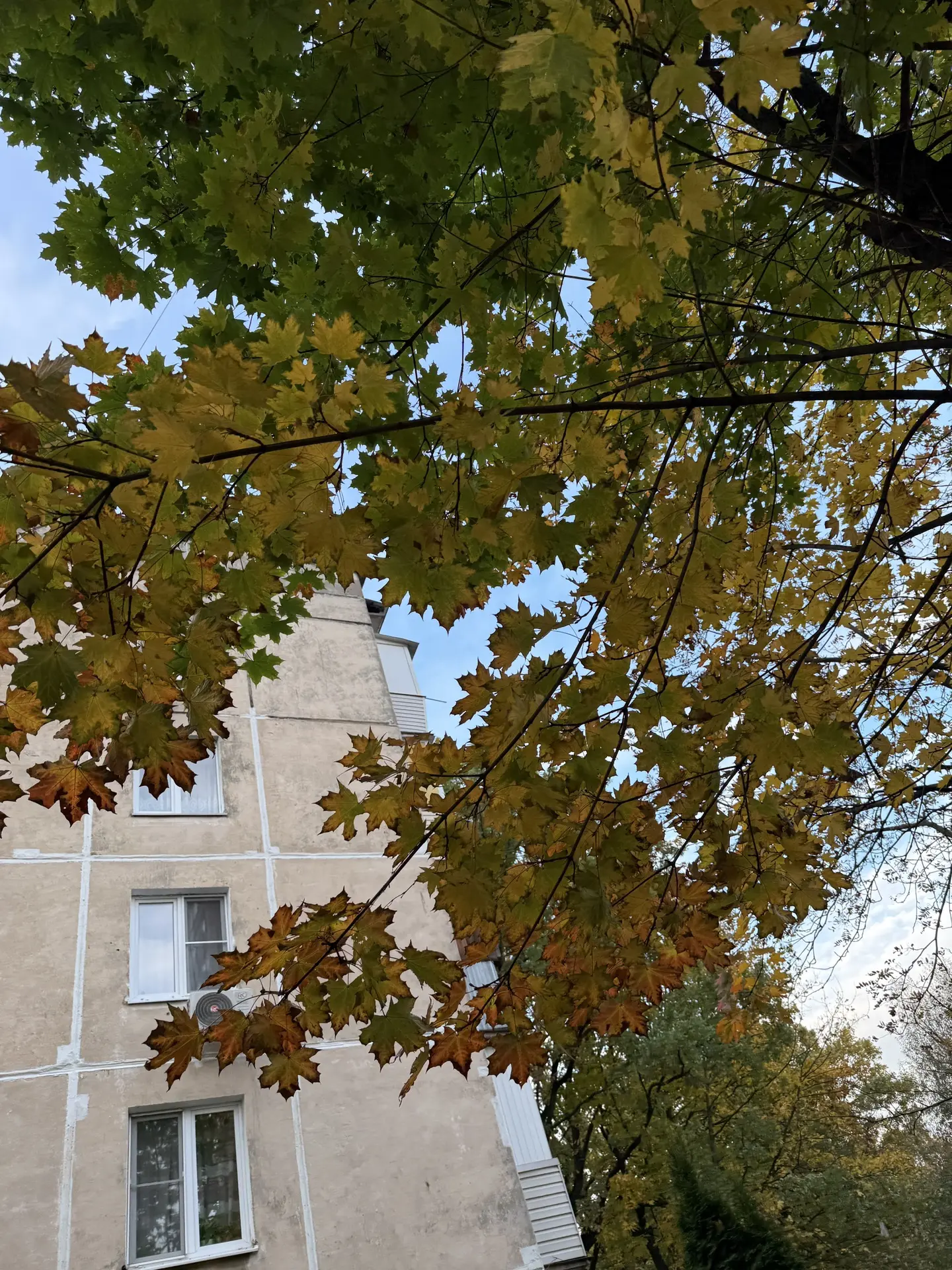 📍Мкр. Южный 🏡🍂🍁