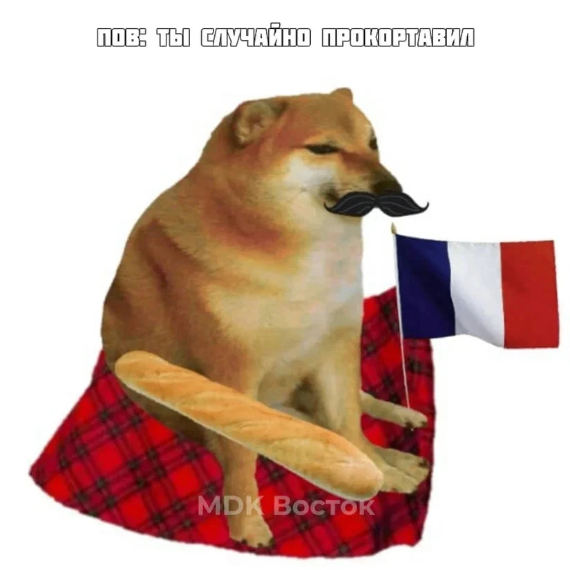 Бонжур, мусье