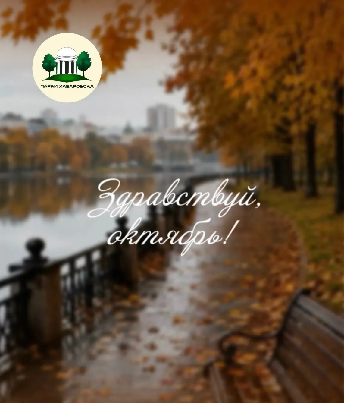 🍂 Здравствуй, октябрь! Здравствуй, золотая осень!