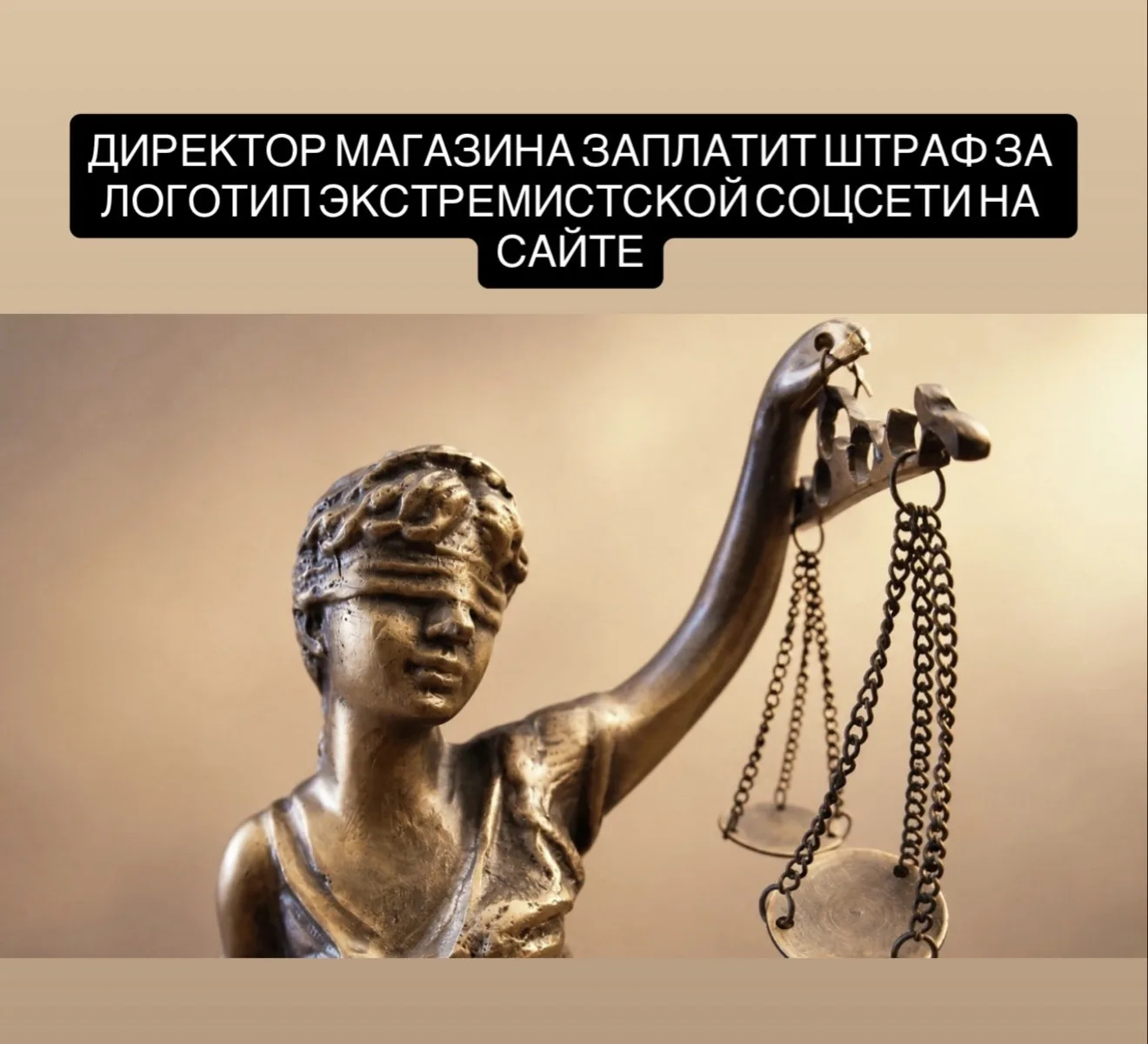 Директора магазина в Хабаровске оштрафовали за логотип запрещённой соцсети
