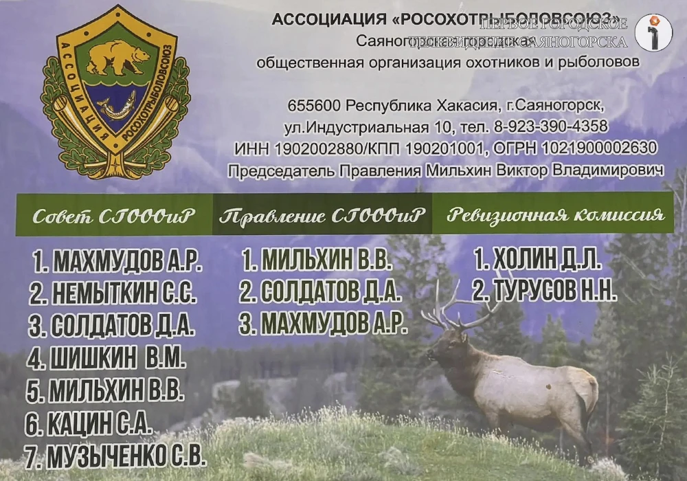 В Саяногорске борются с выходом медведей к жилым районам, открыт сбор средств