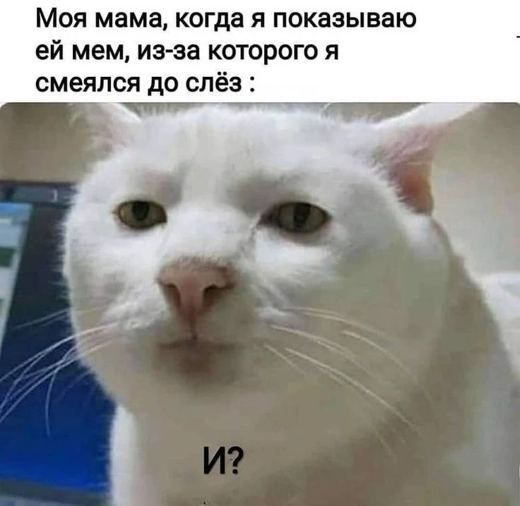 @memachh