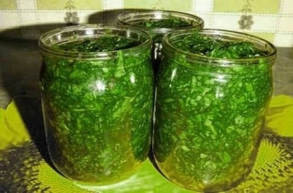 🥗 Квашеная сныть: полезная закуска на зиму!