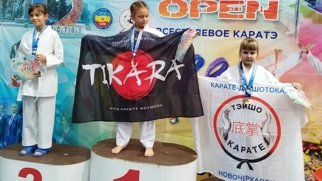Новочеркасцы завоевали 36 наград на «ROSTOV OPEN–2026»