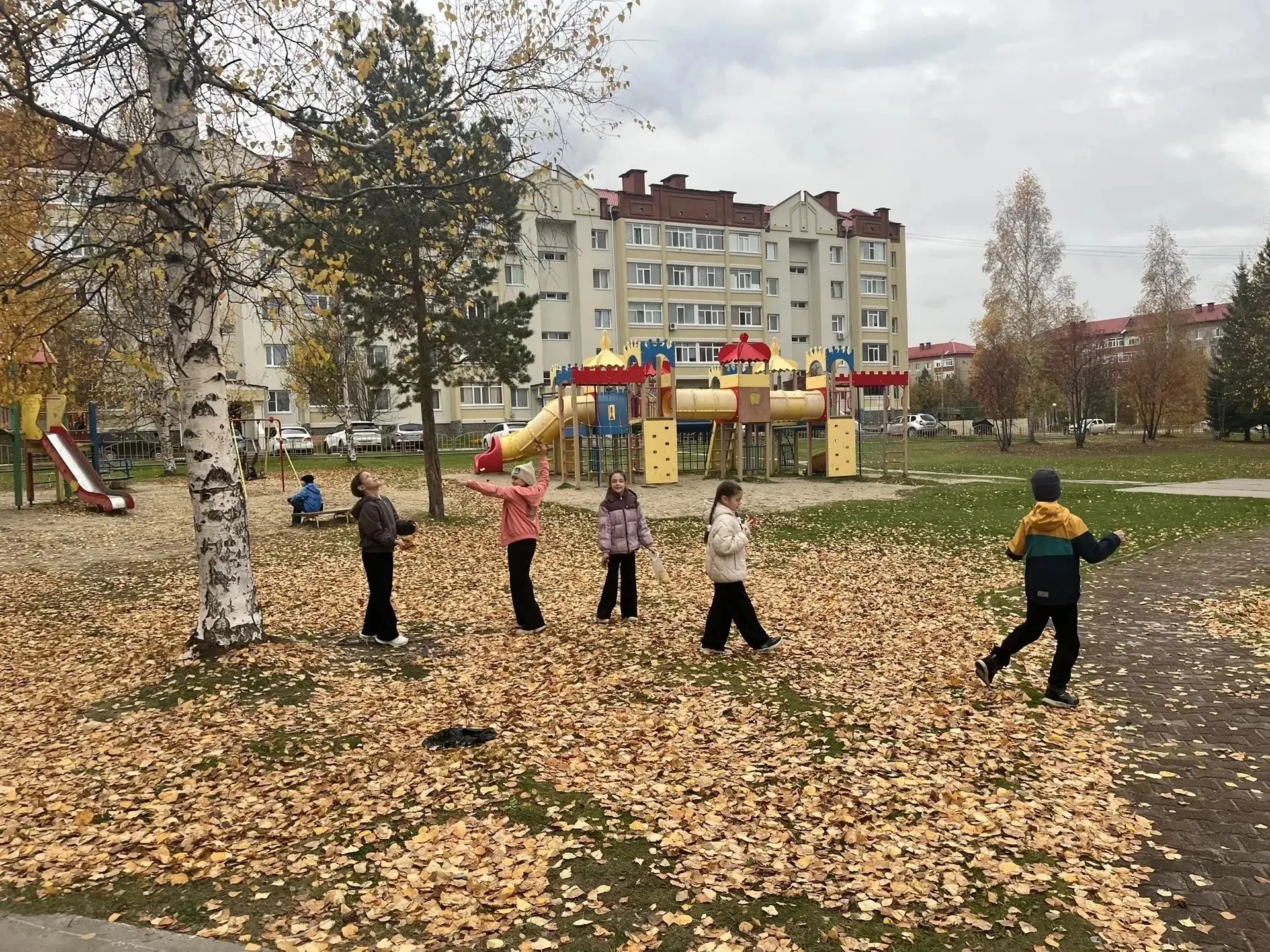 🍂 Осенняя терапия в действии! 🍂